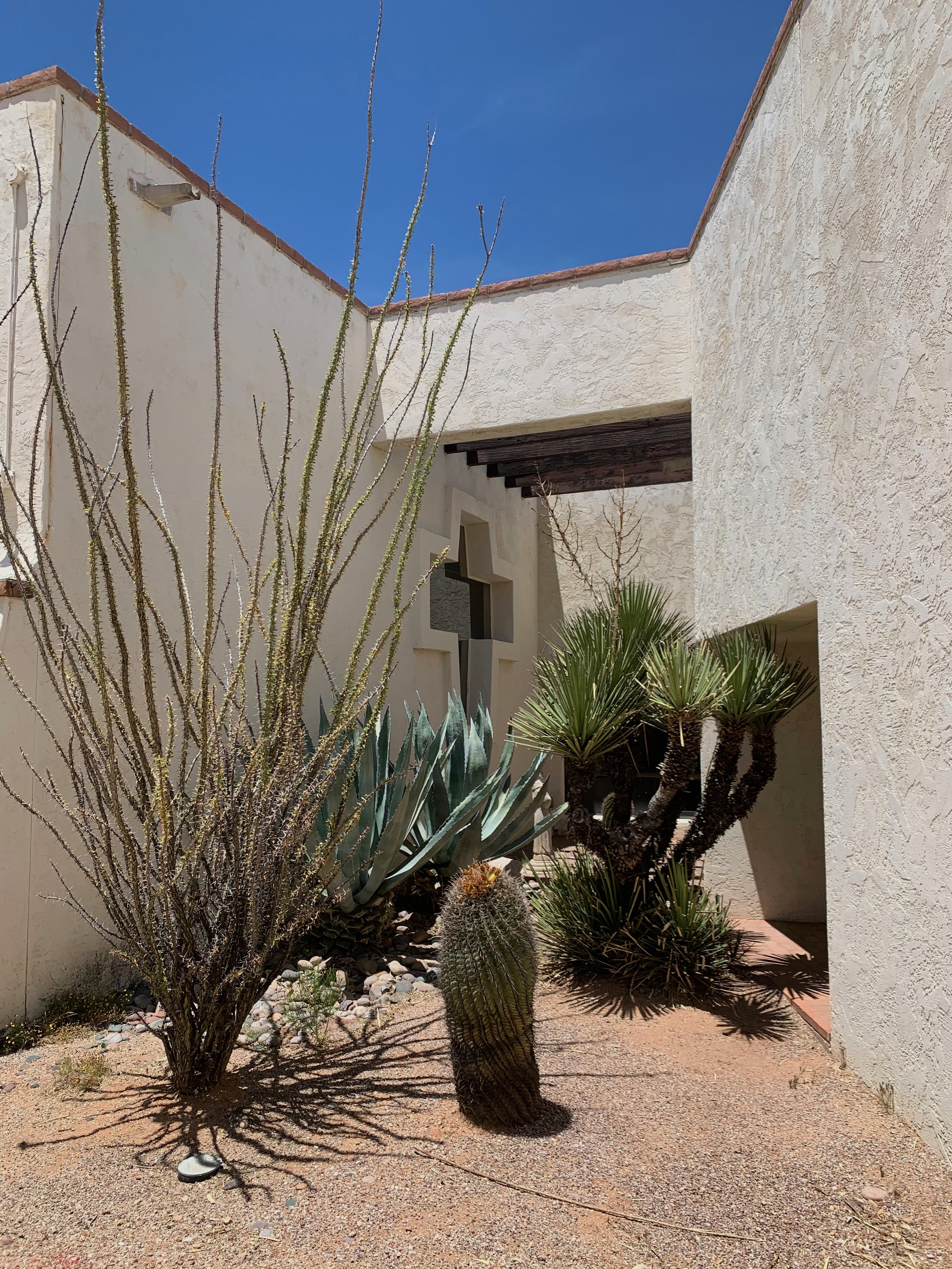 Desert plants beside the church’s cross-shaped window.