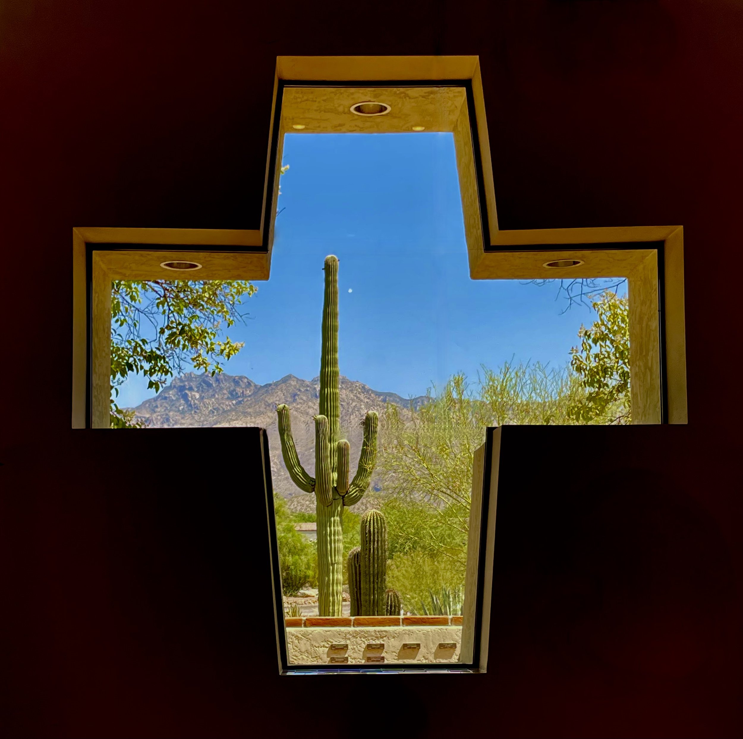 Desert plants seen through St. Alban’s cross-shaped window.